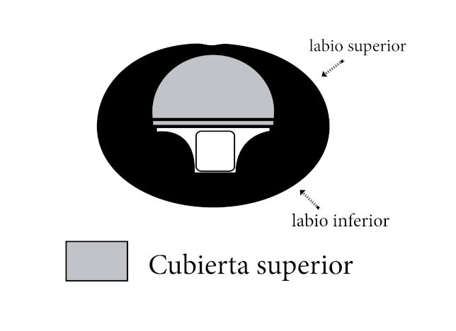 técnica de lipping