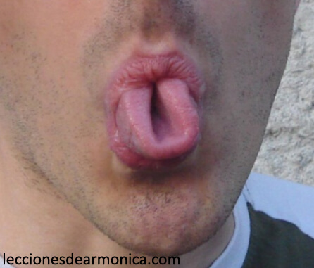 tube tongue